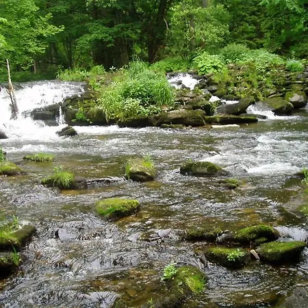 To Sonnenhuegel Waldheimat