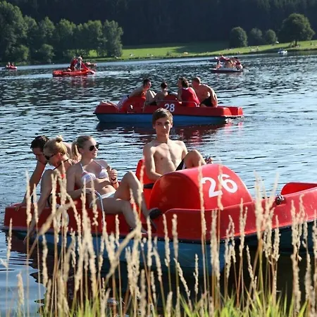 Сasa de vacaciones To Sonnenhuegel Waldheimat Wegscheid