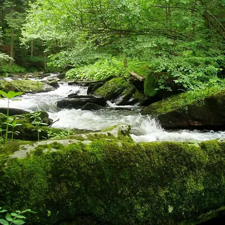 To Sonnenhuegel Waldheimat Wegscheid